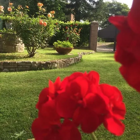 Bed & Breakfast Chiusa Dei Monaci Arezzo