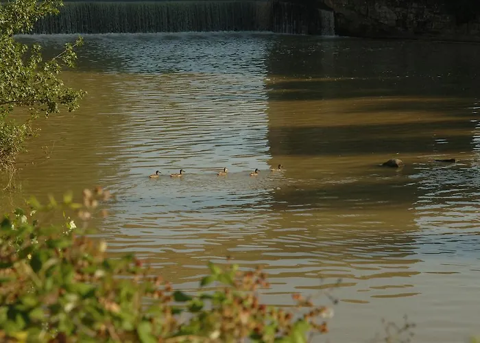 فندق مبيت وإفطار Chiusa Dei Monaci *